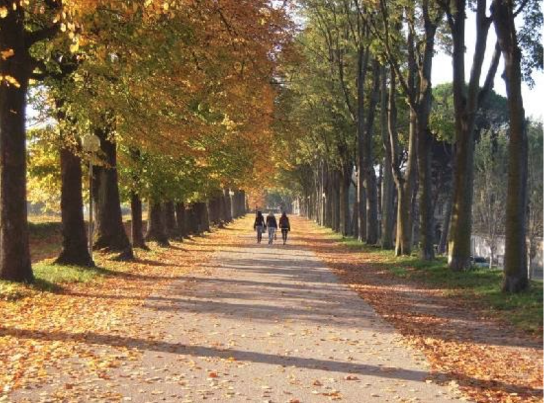 The promenade on top of Lucca's walls, approximately 2.5 miles around, is a beautiful walk in any season, offering amazing views of the city and surrounding mountains.