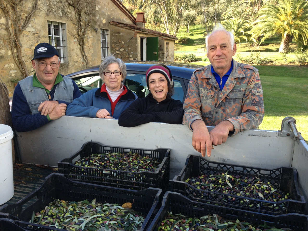 Each fall our longtime caretaker harvests the olives from our trees. These are pressed locally and provide extremely high-quality olive oil that we are happy to provide for our guests' use during their stay.