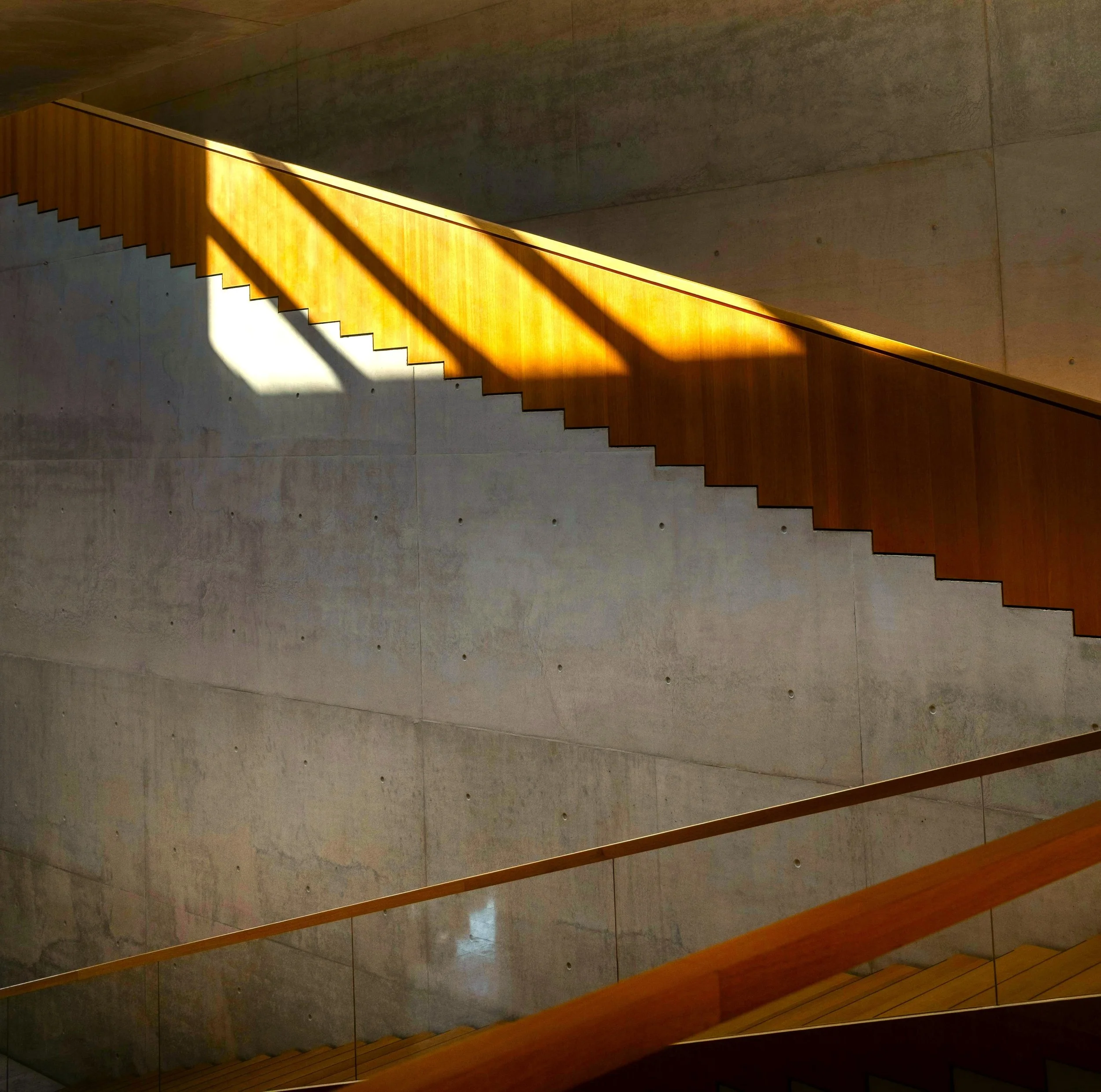 pexels-filipp-romanovski-297235844-18891784 - 4.jpg