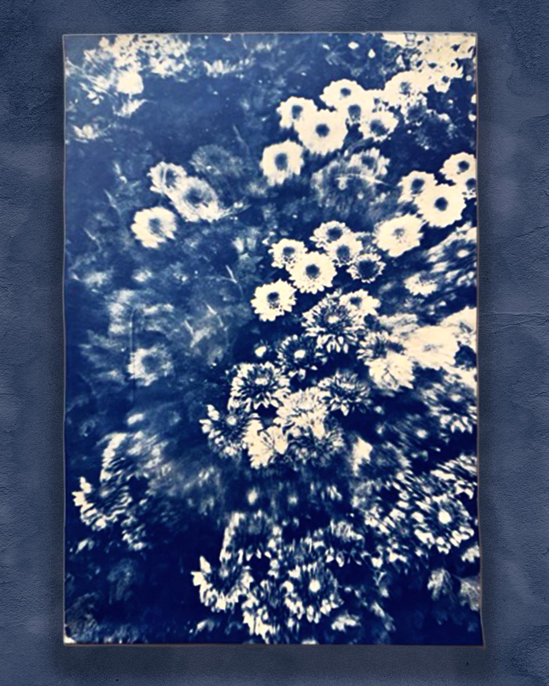 Parallel Botany - Zinnia