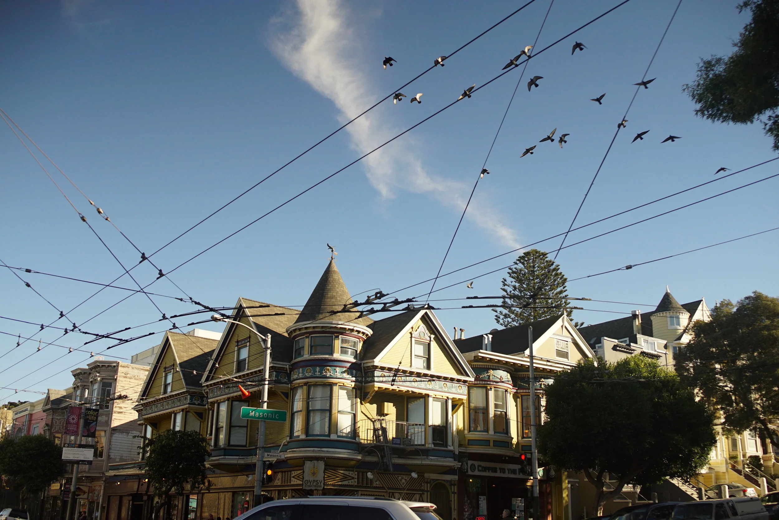 Haight x Masonic.