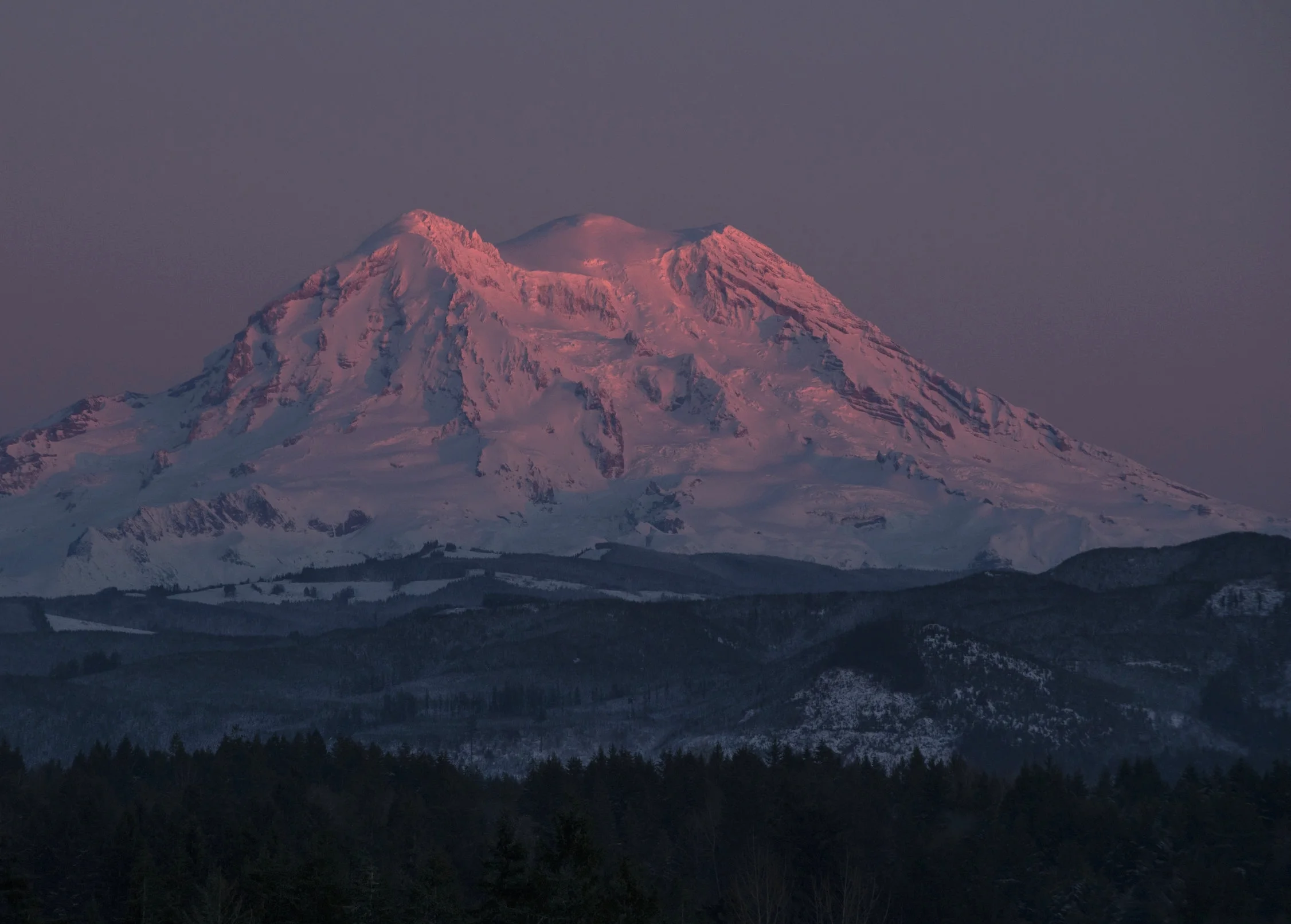 rainierpink_uncropped.jpg