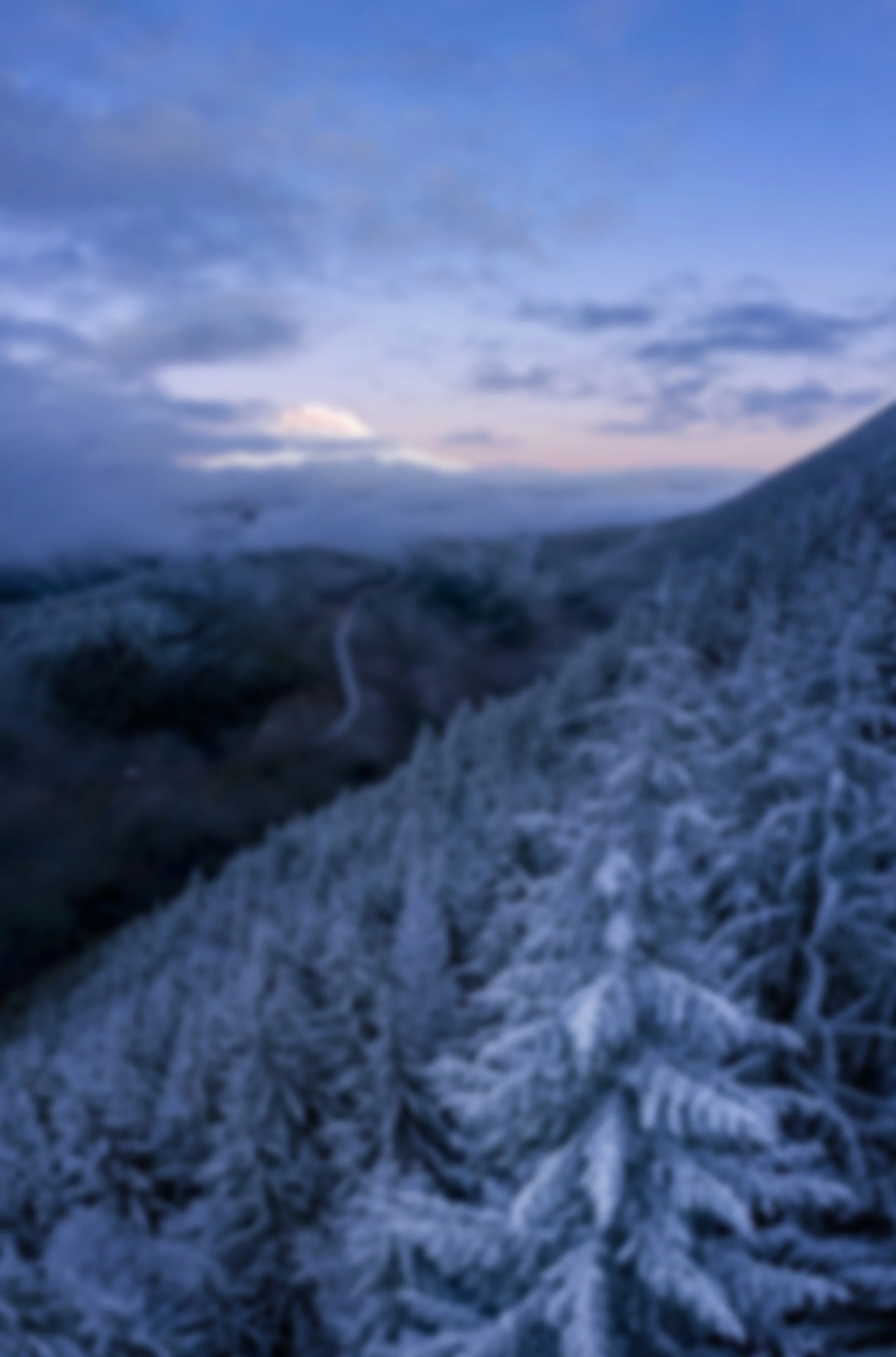 Freezing Point