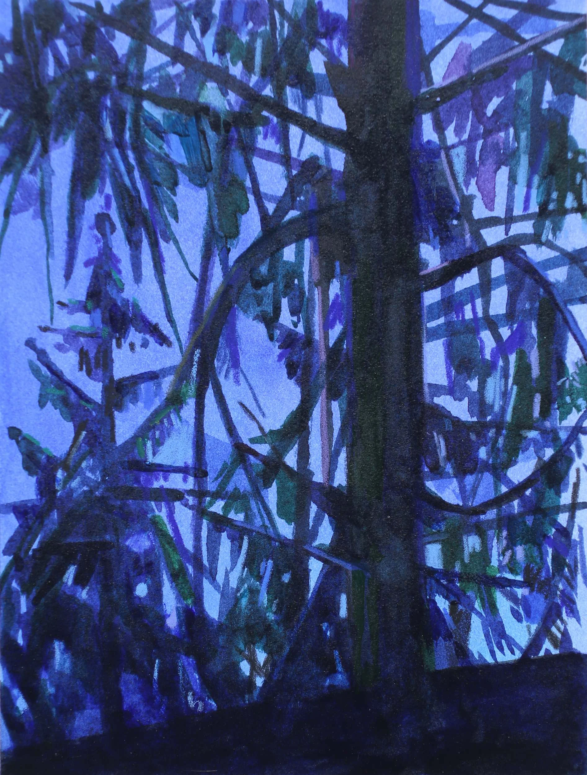 Tree and Night, 2016