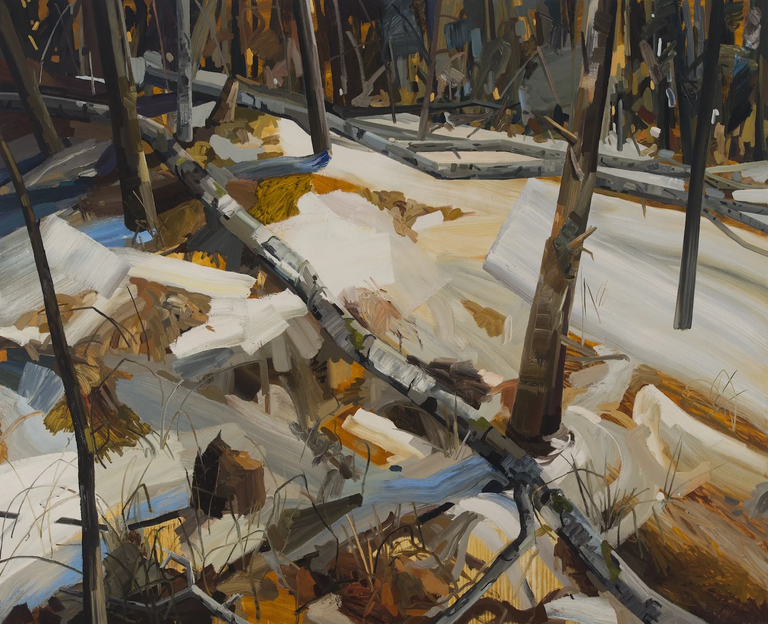 Woods and Snow , 2008, Oil on canvas, 78 x 96"