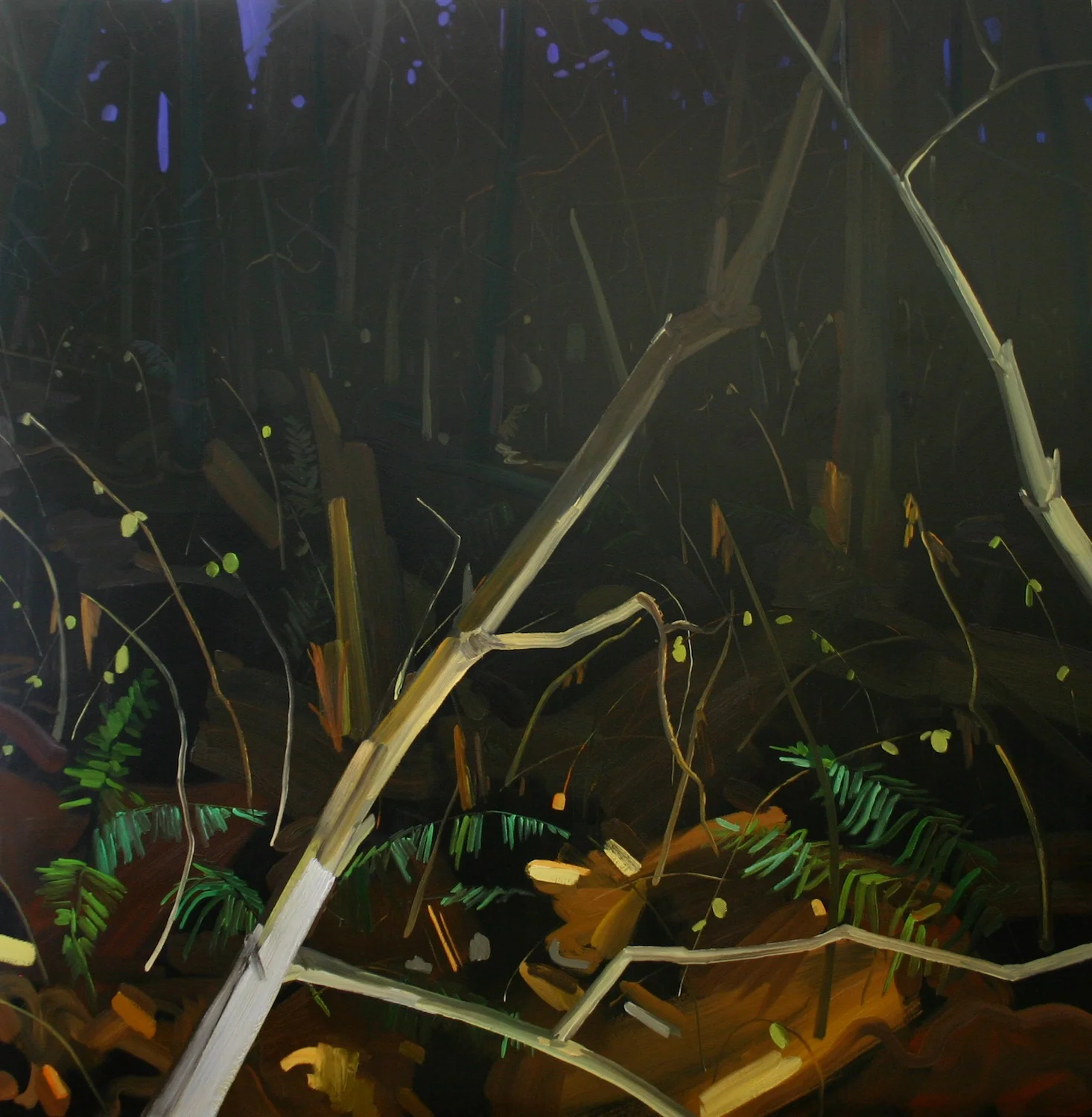 Weeds , 2006, Oil on canvas, 60 x 60"