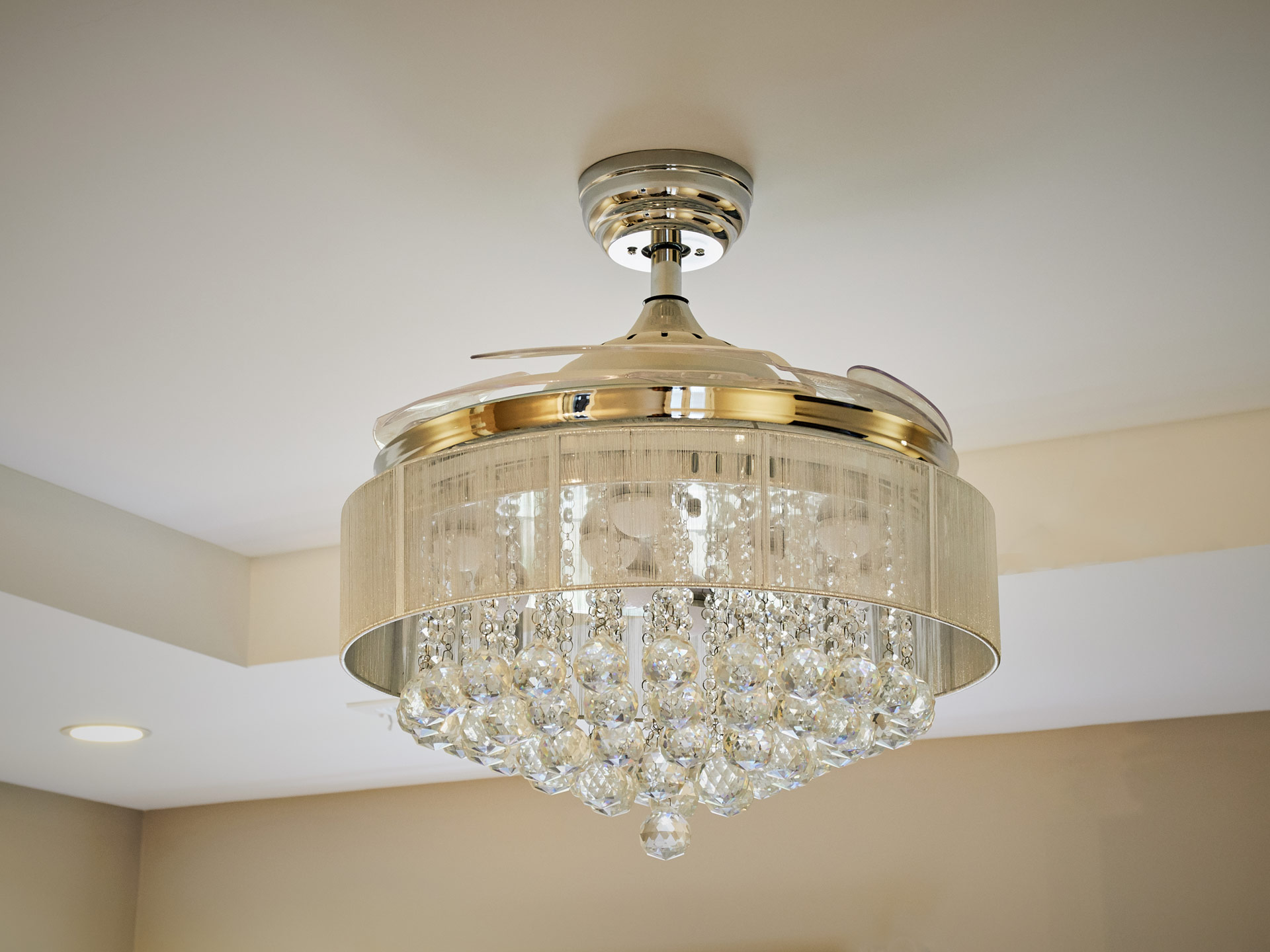 Ornate Overhead Light Fixture