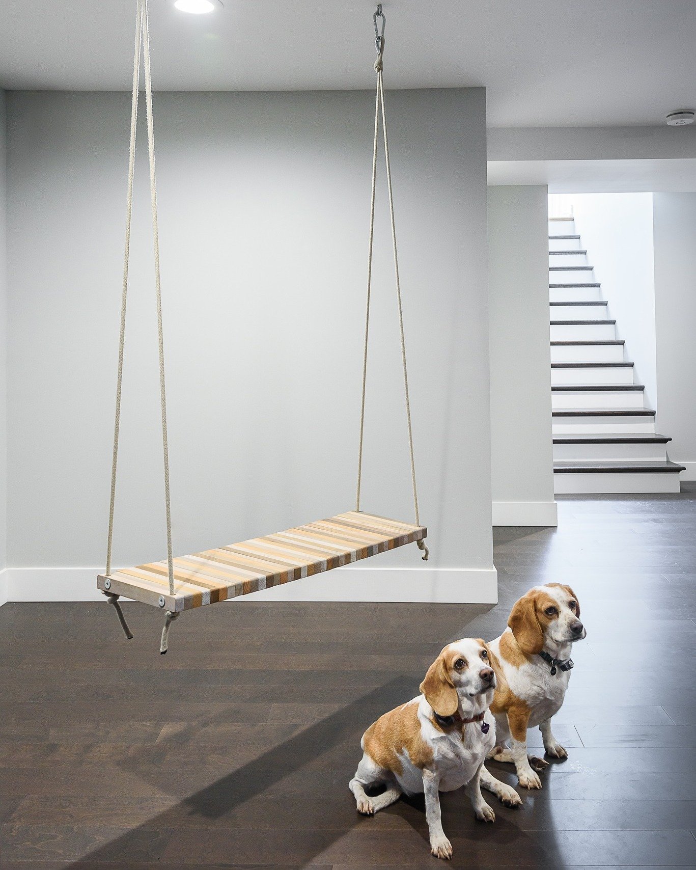 Home renovations are a family affair, and our sweet dogs are all in! They make every project paw-some .#Homesweethome #homeimprovement #ludesignbuild #interiordesign #puppylove
Designer: @mcavindesign
Photo Cred: @KarenPalmerPhotography