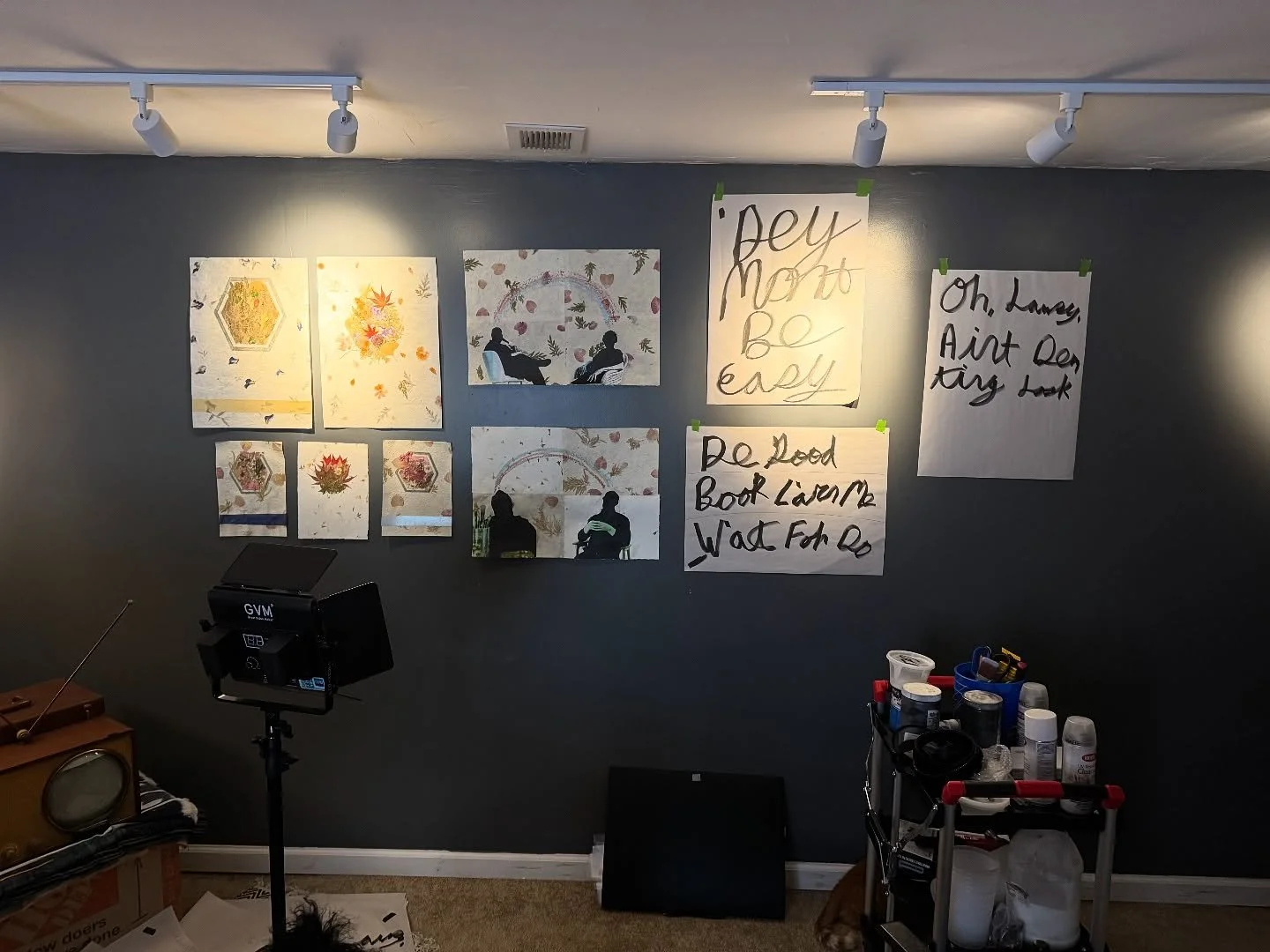 This week, working on new series, Botanical Collage + Gullah text projects