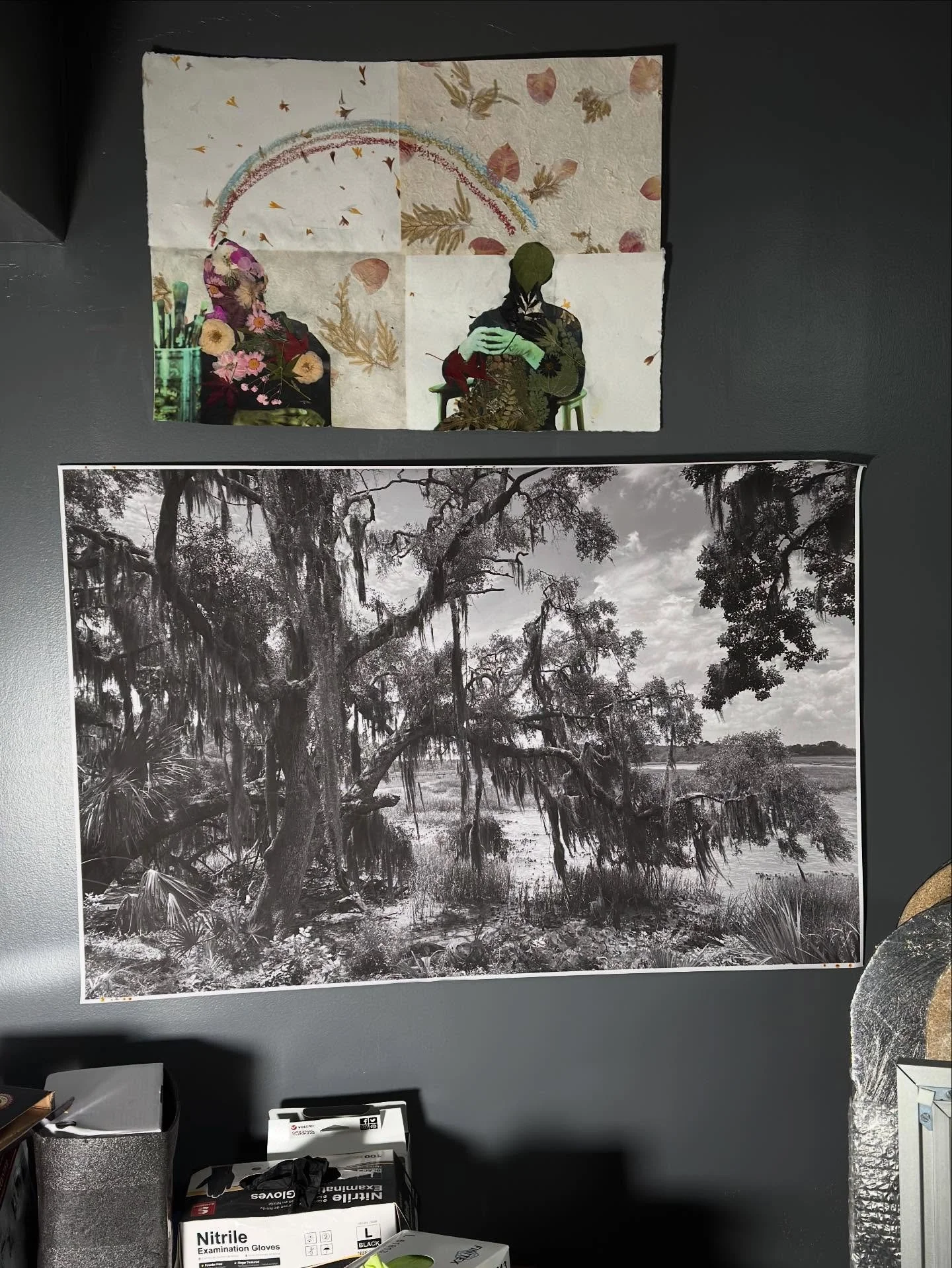 Winter/Spring work in progress photography and botanical collage series