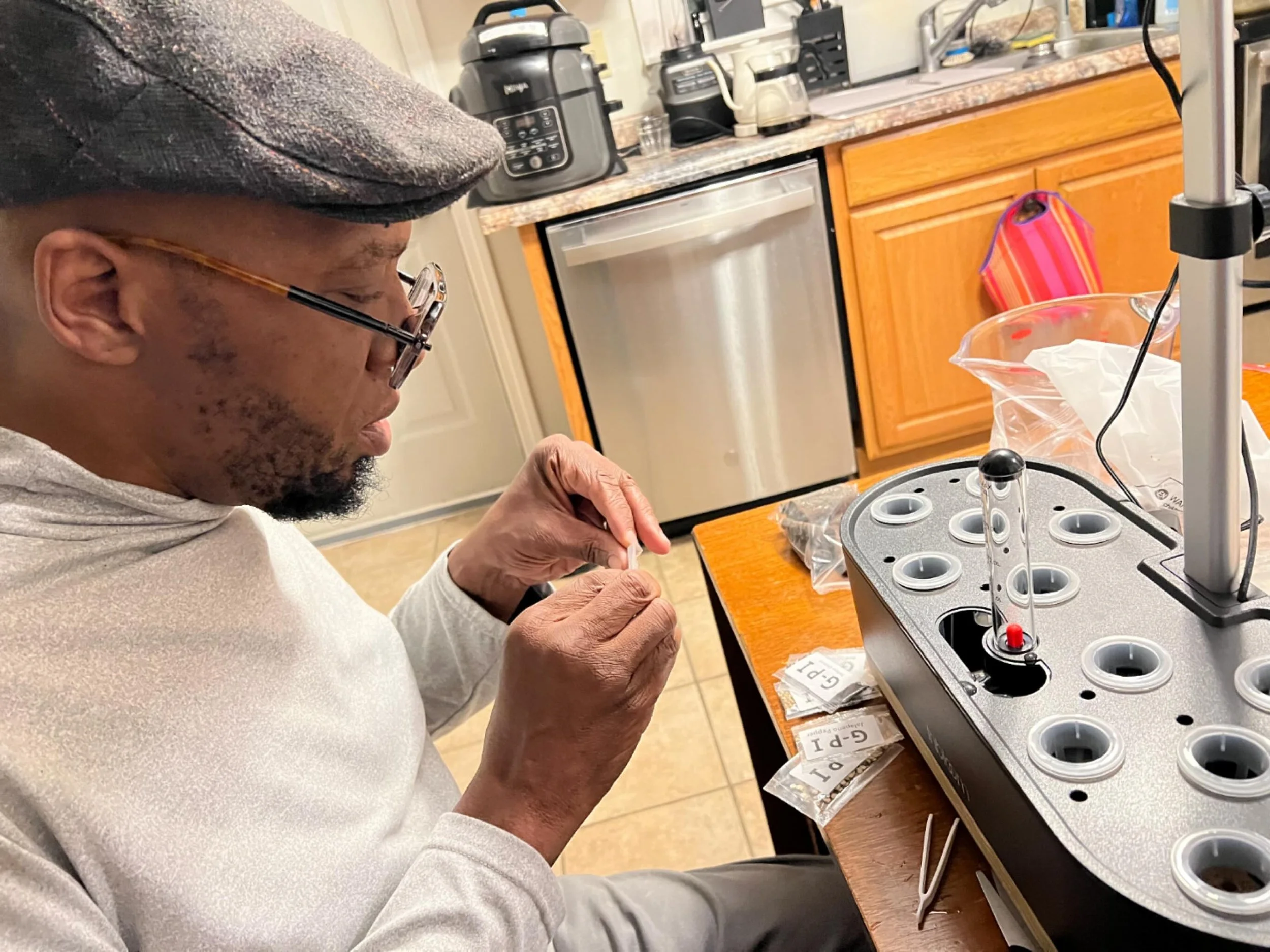 My wife Kiyomi let me get a hydroponic machine. The seeds I got are the Salsa compilation, tomatoes, yellow onions, cilantro, green peppers and jalape&ntilde;os