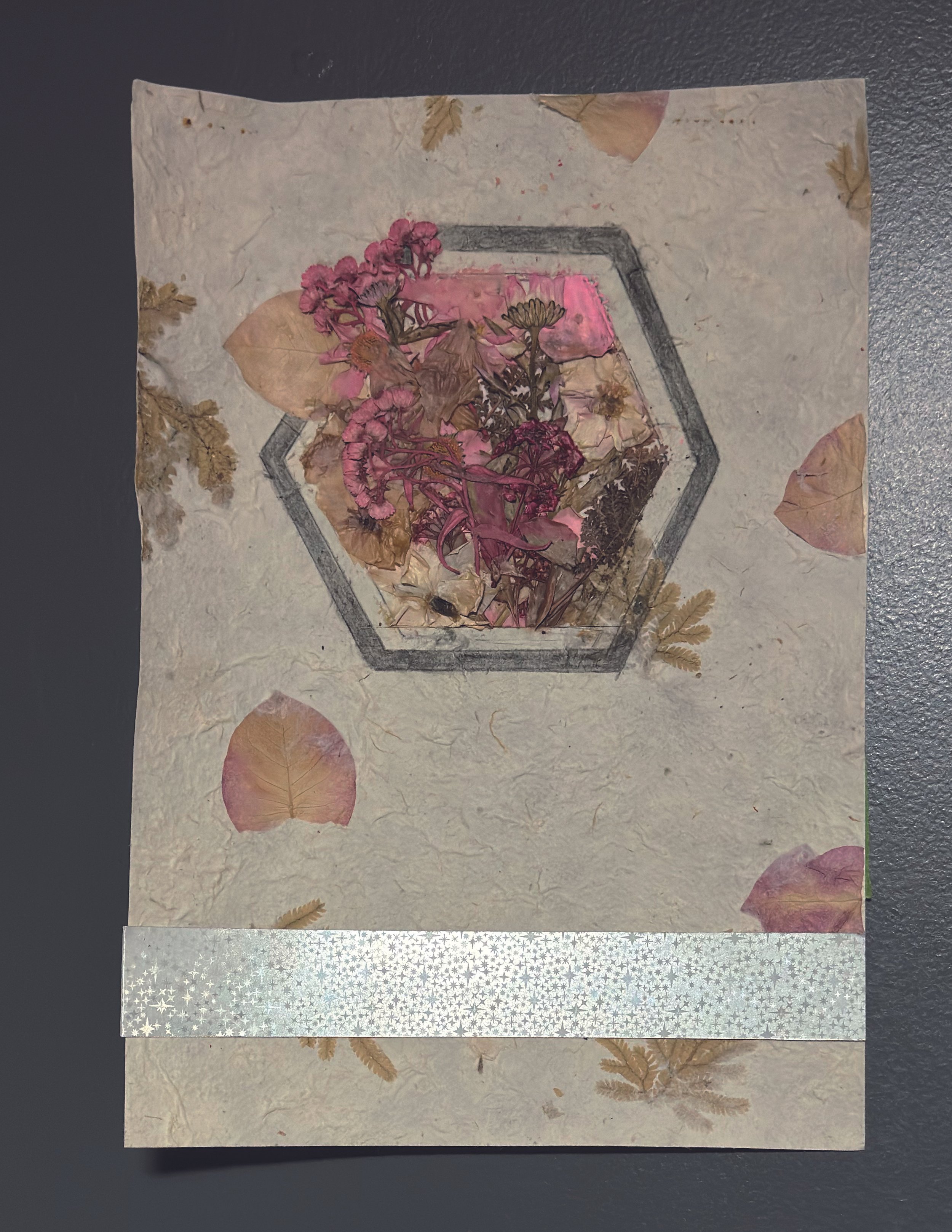 “BC Study IV” 
