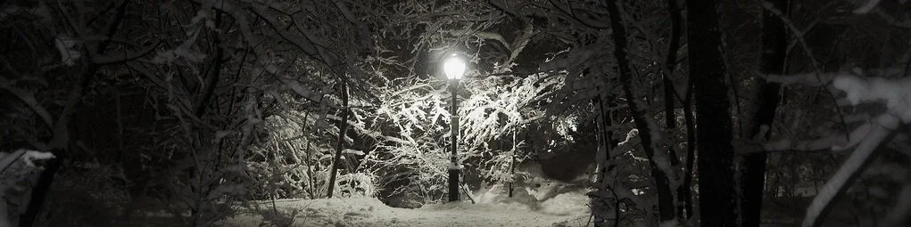 narniaheader bannercropped.jpg
