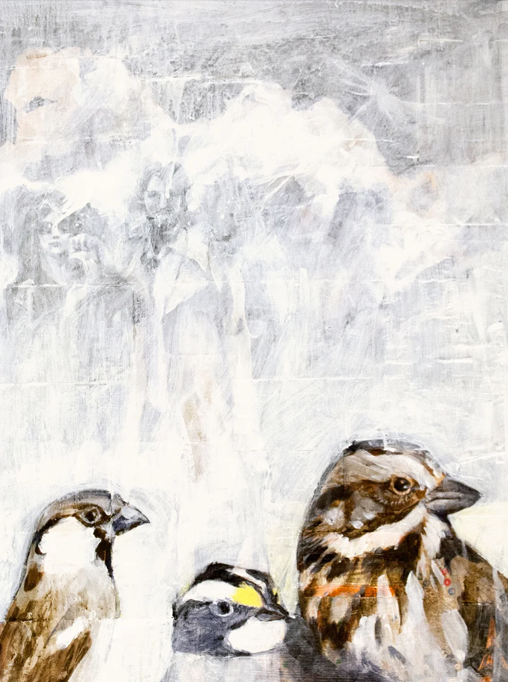 Sparrows