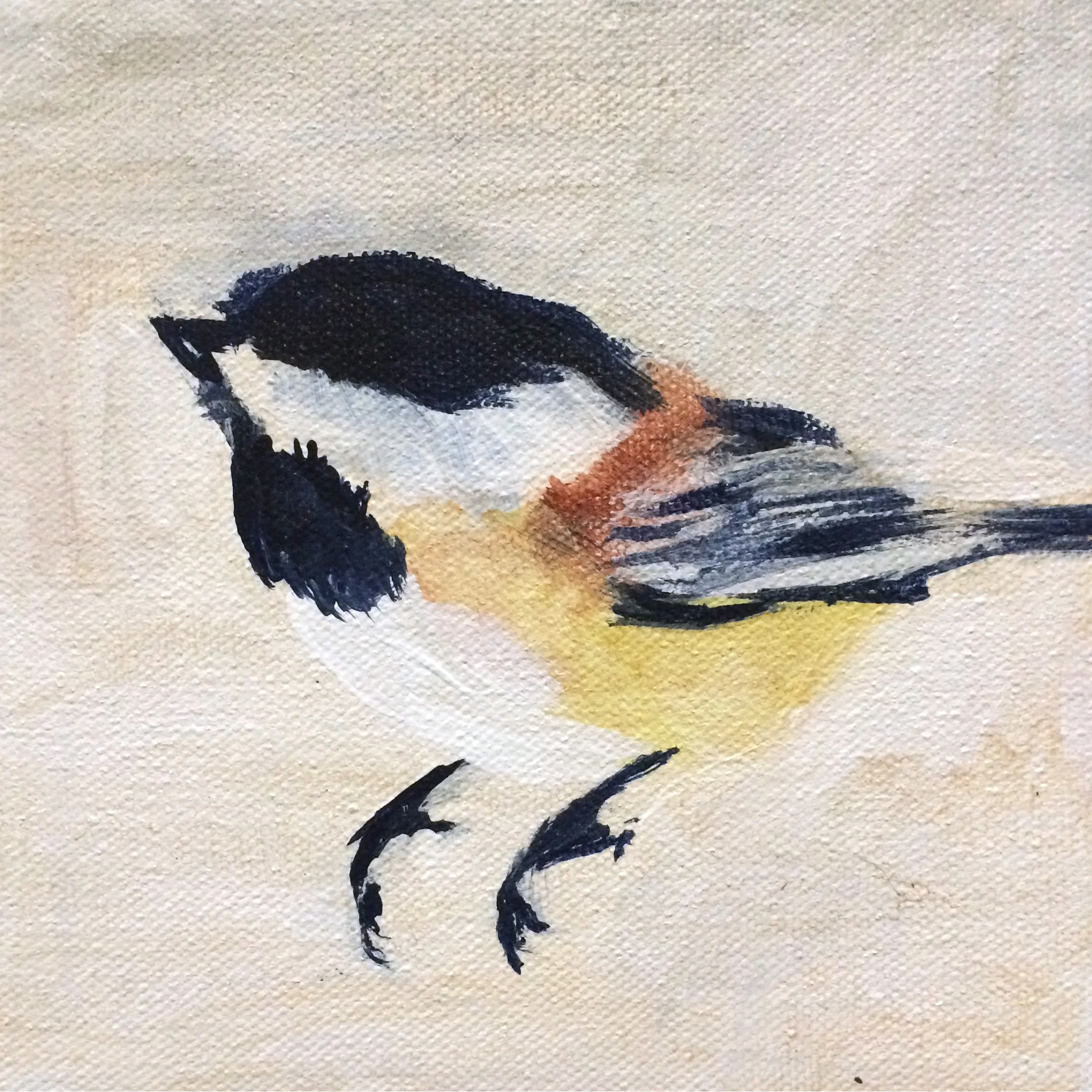 Chickadee