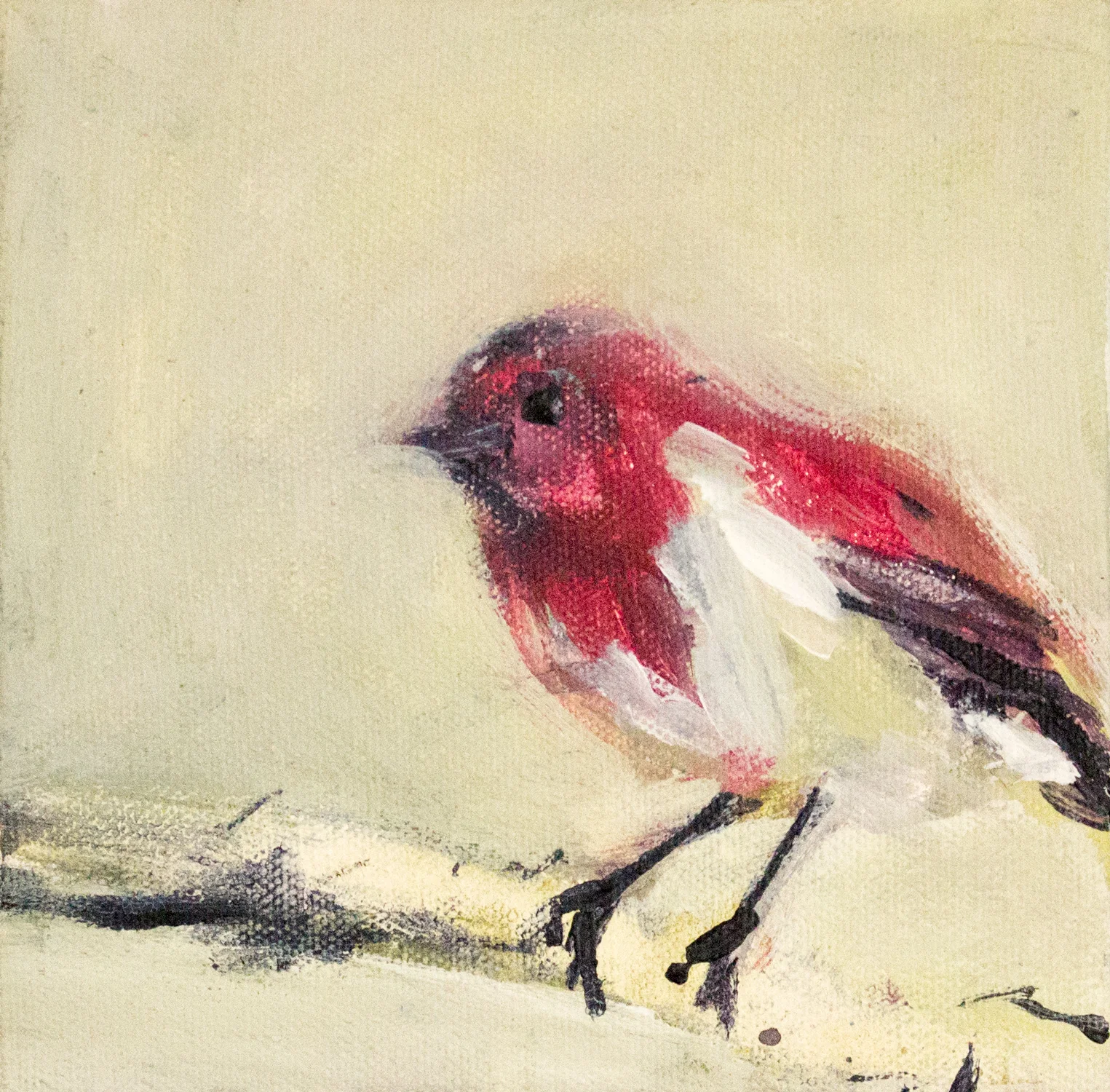 Robin