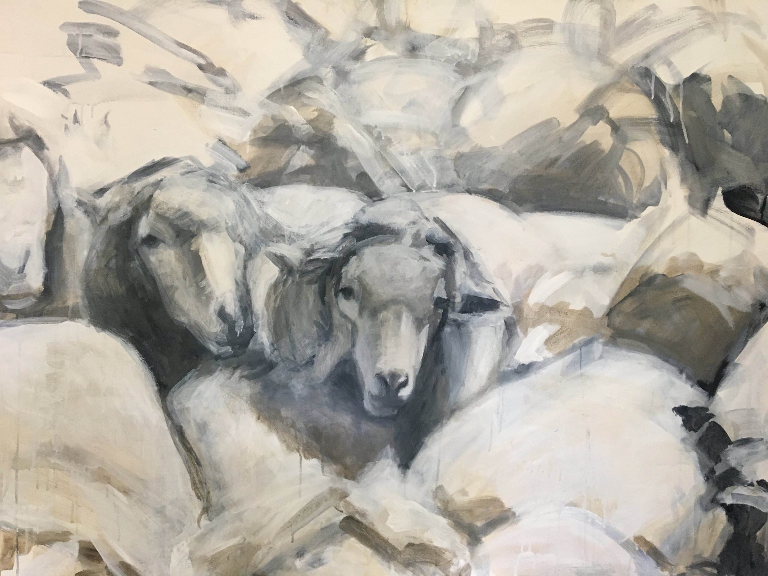Sheep