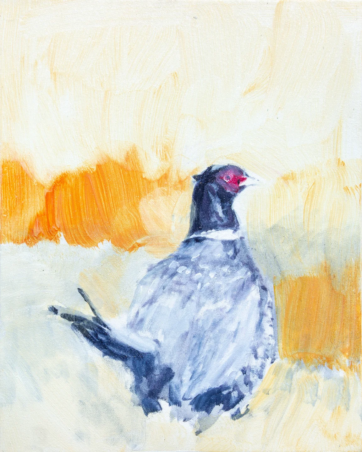 Pheasant