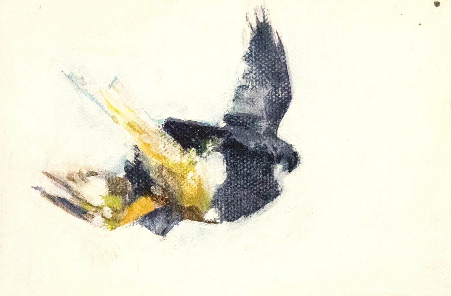 Air Fight Study