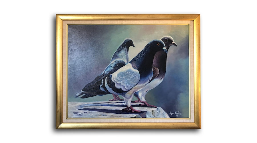 RUXLY STUDIO 3 Pigeons.png