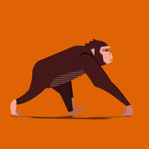 RUXLY ANIMATION — Ruxly