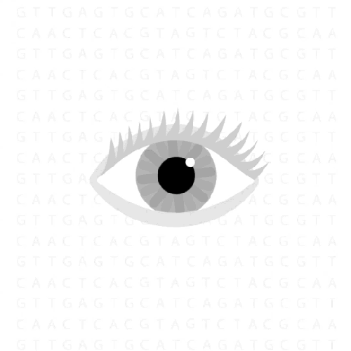 5. 23andMe-Eye_ruxly.gif