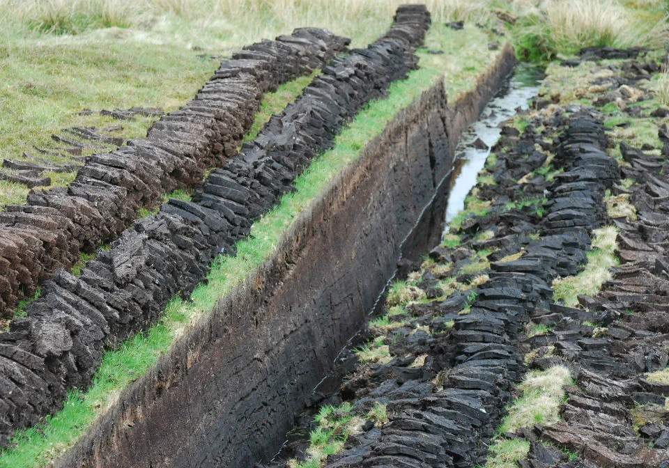 Peat block cut from the earth and stacked up ready to use.