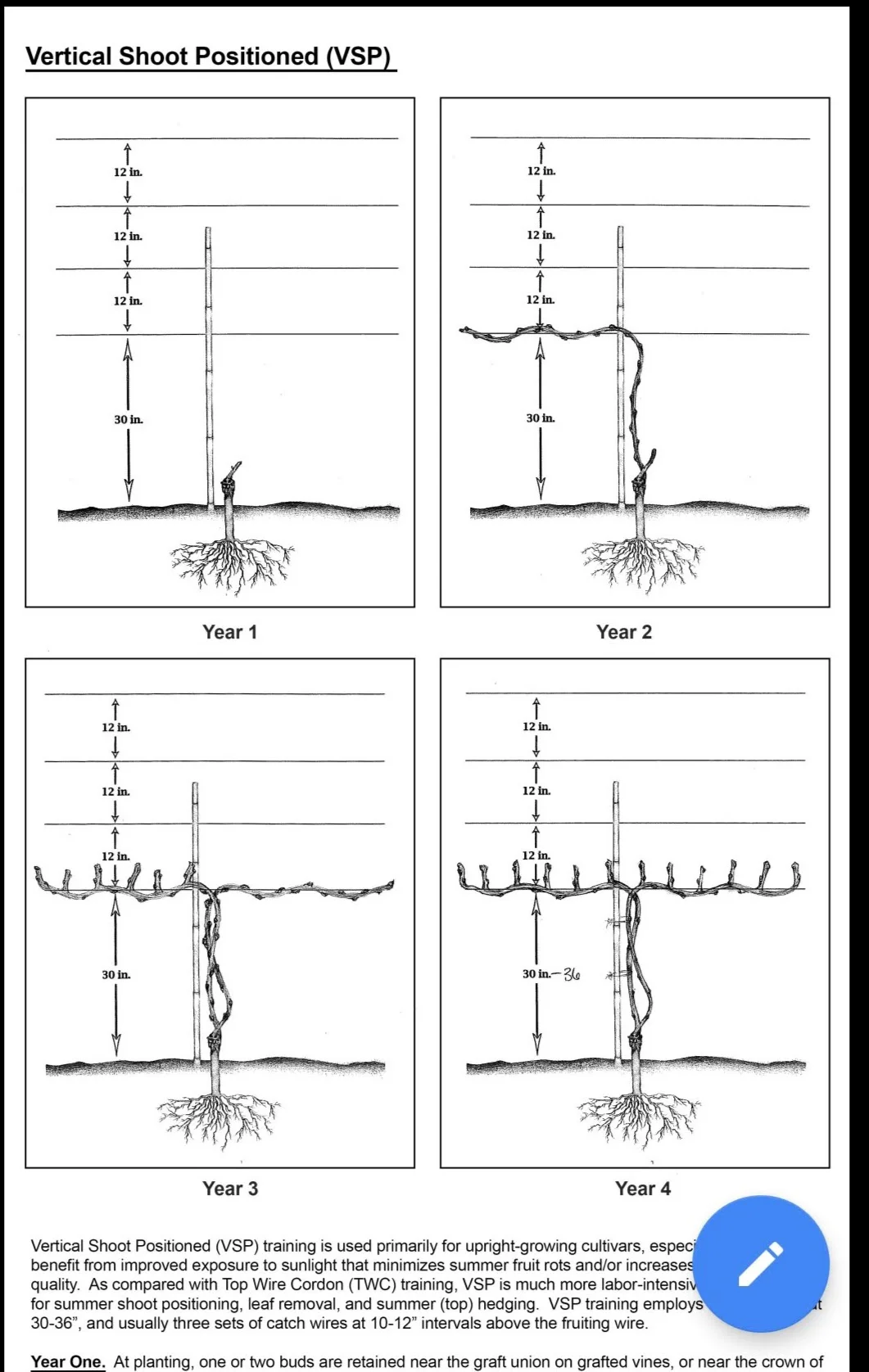 Training diagram by Double A Vineyards