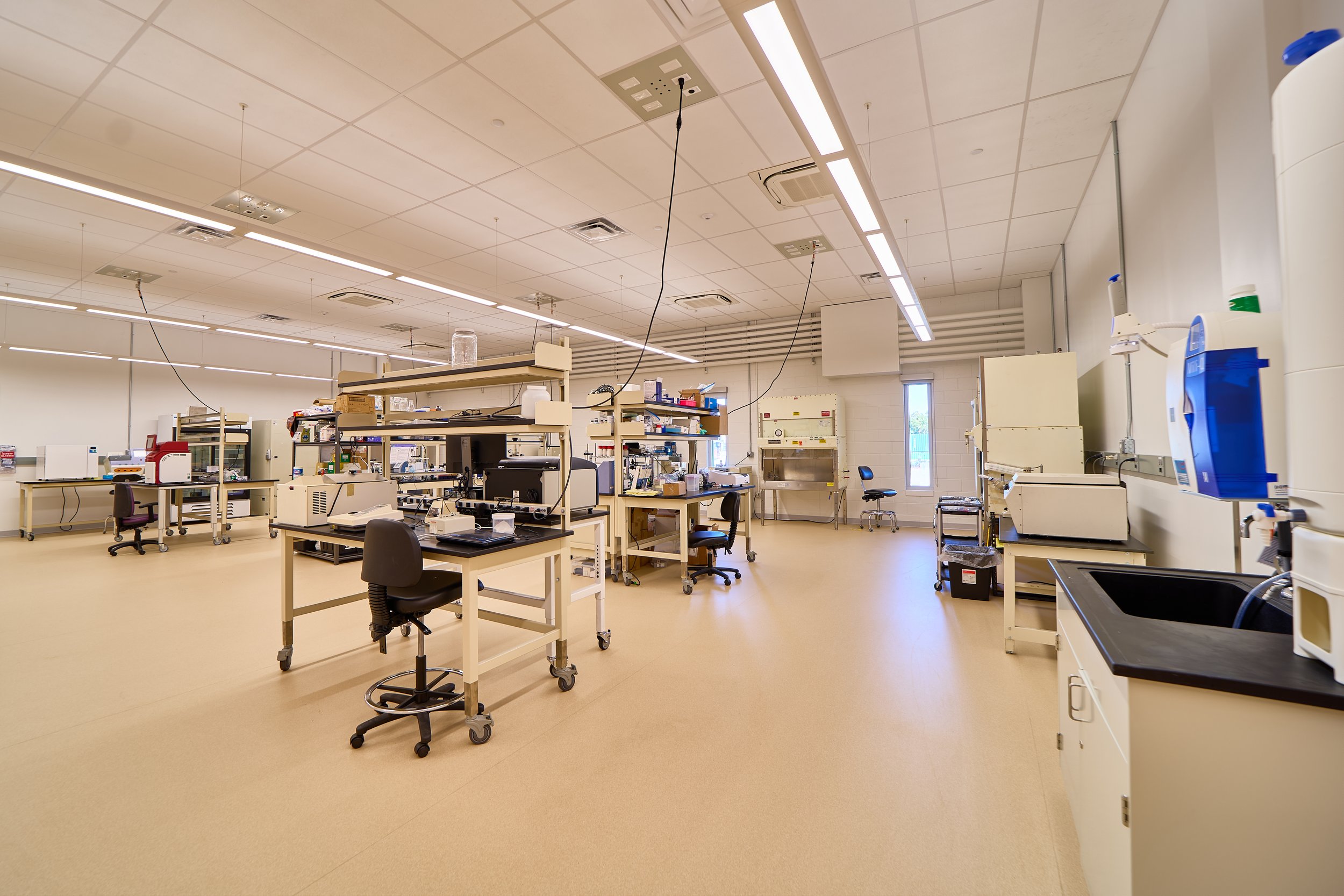 Phase II Expansion Shared Lab