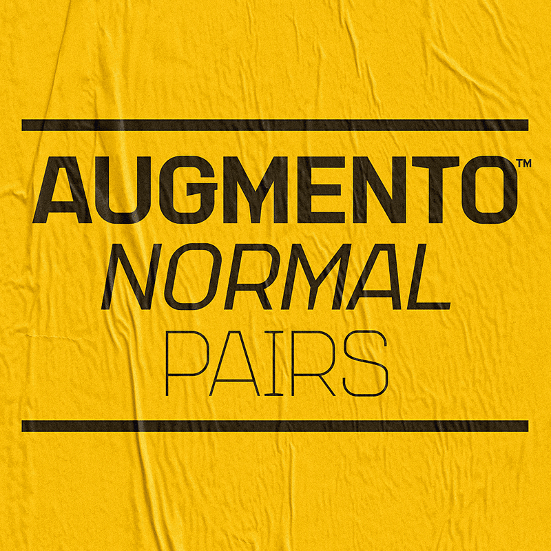 AugmentoNormalPairs.jpg