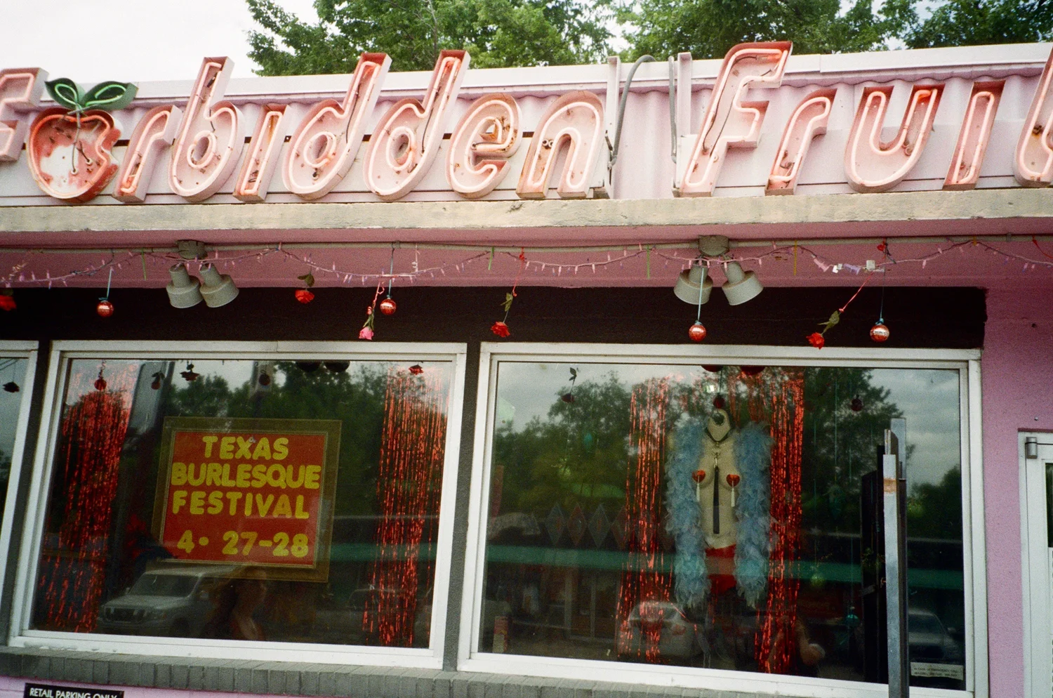 WEB AUSTIN - 4.jpg