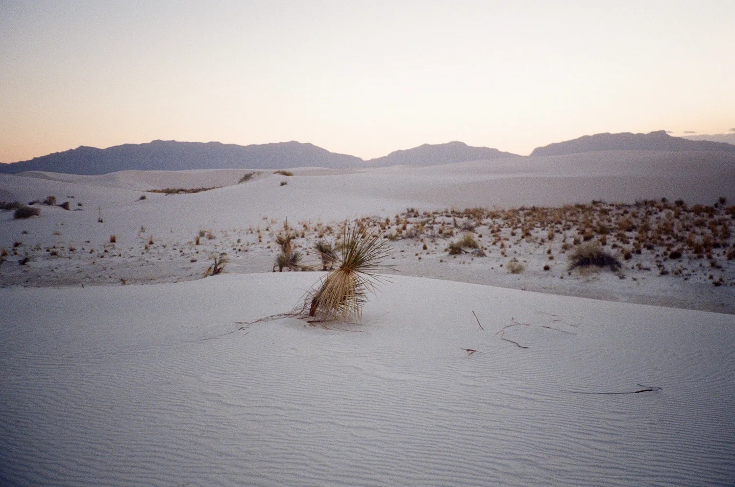 WEB WHITE SANDS - 14.jpg
