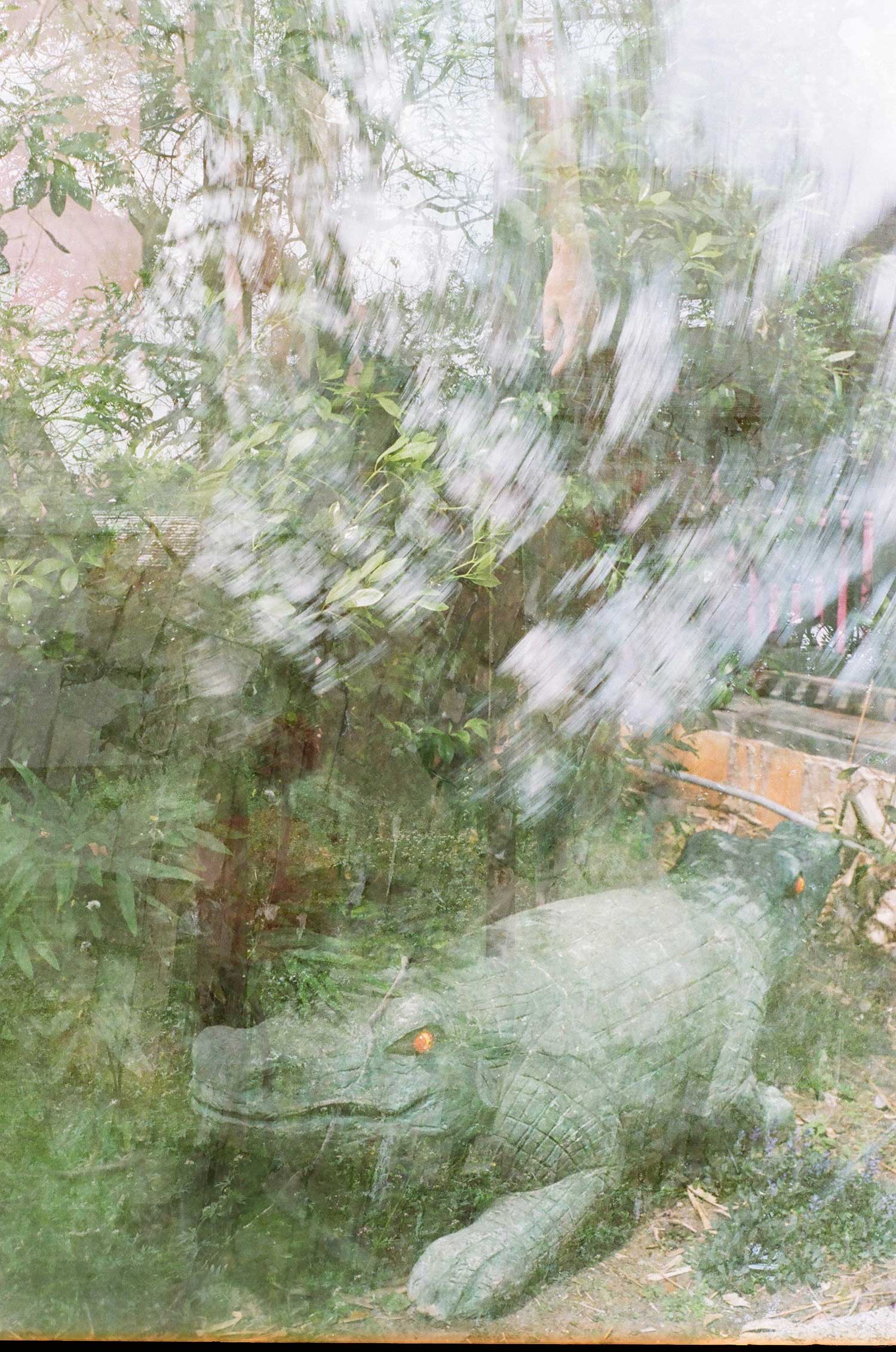 95960035.jpg
