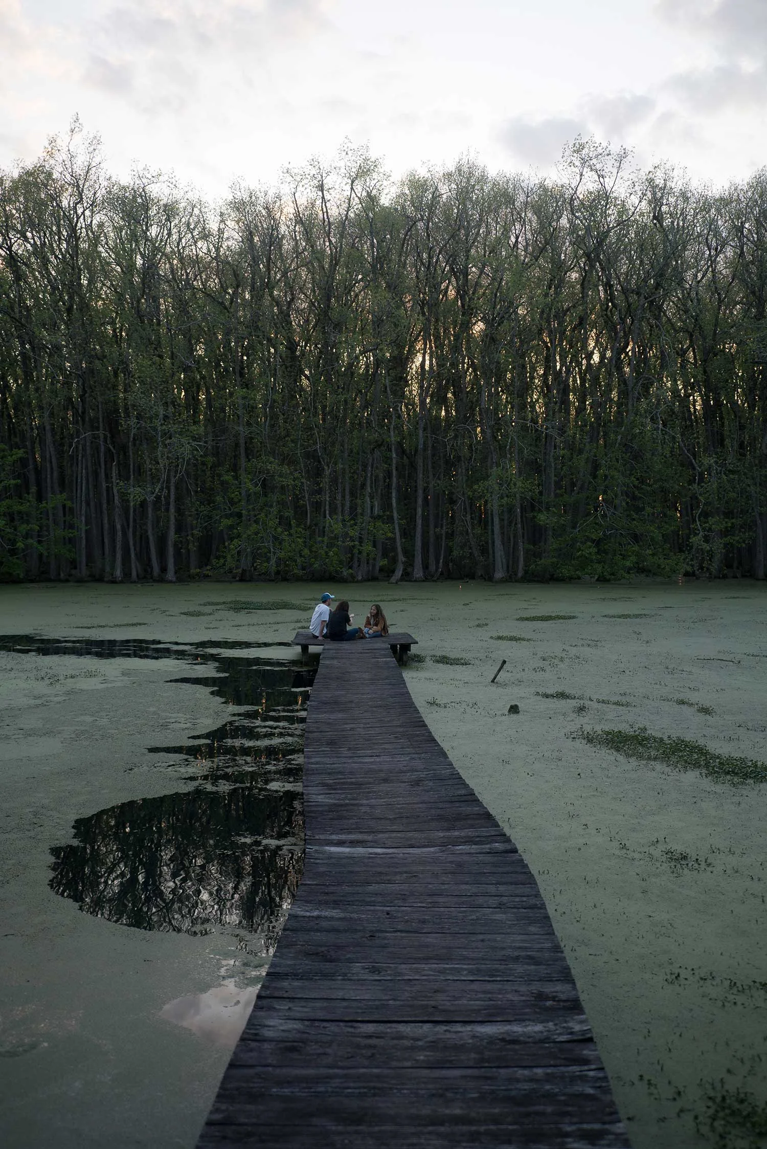 Photo by Sam Boyette