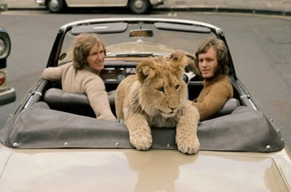 christian-the-lion-in-london-590x390.jpg