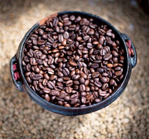 Utopia Coffe, LLC - Yigacheffe Roasted 