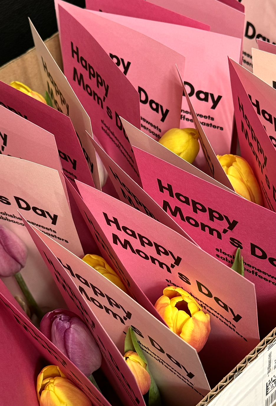 Screenshot 2026-04-03 at 8.31.36 PM.png