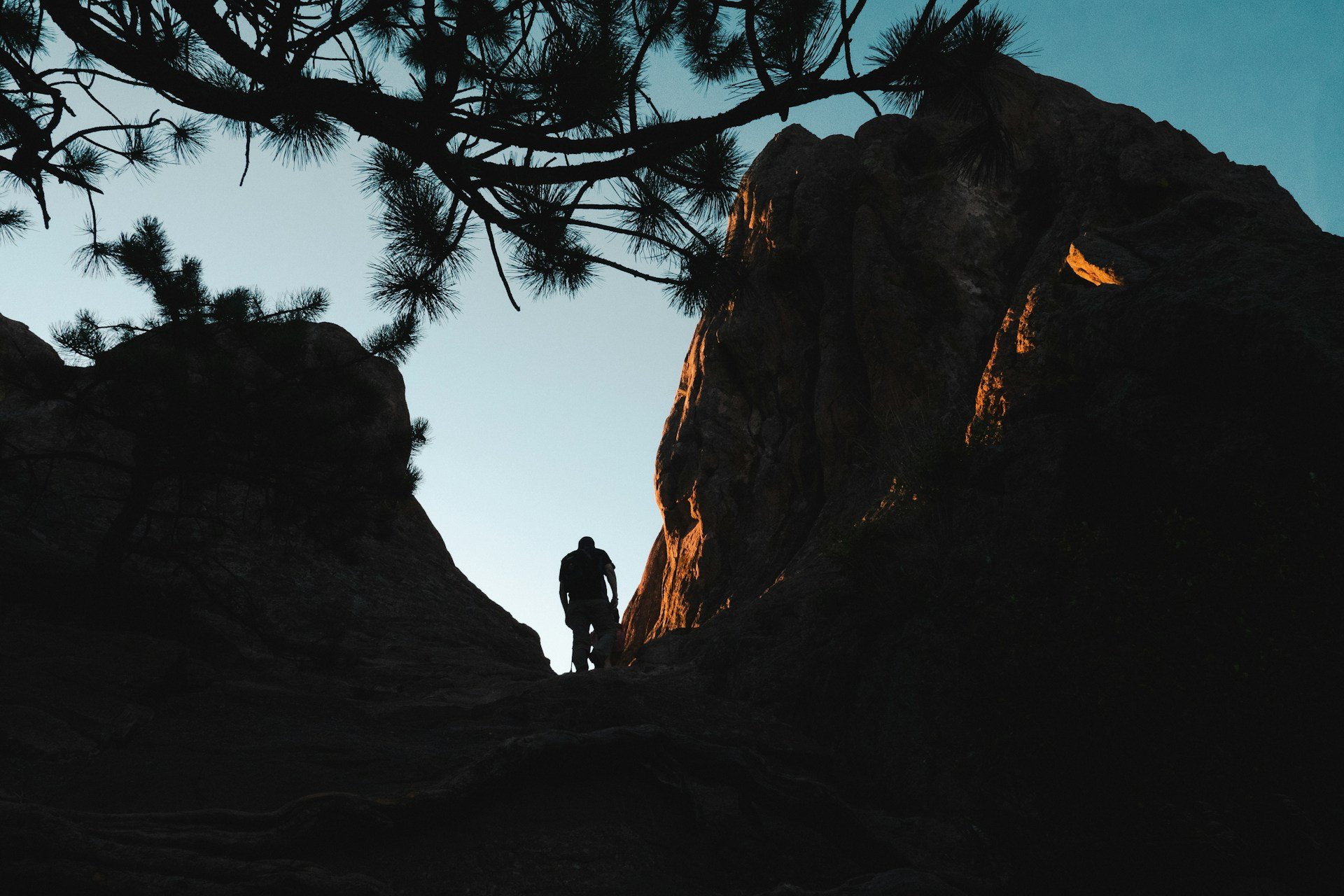 4 Fun Fall Activities in Chandler, Arizona (2025)