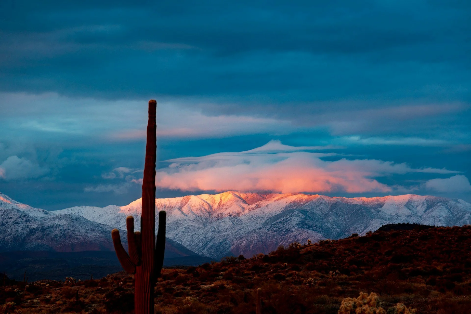 Winter Activities in Chandler, Arizona