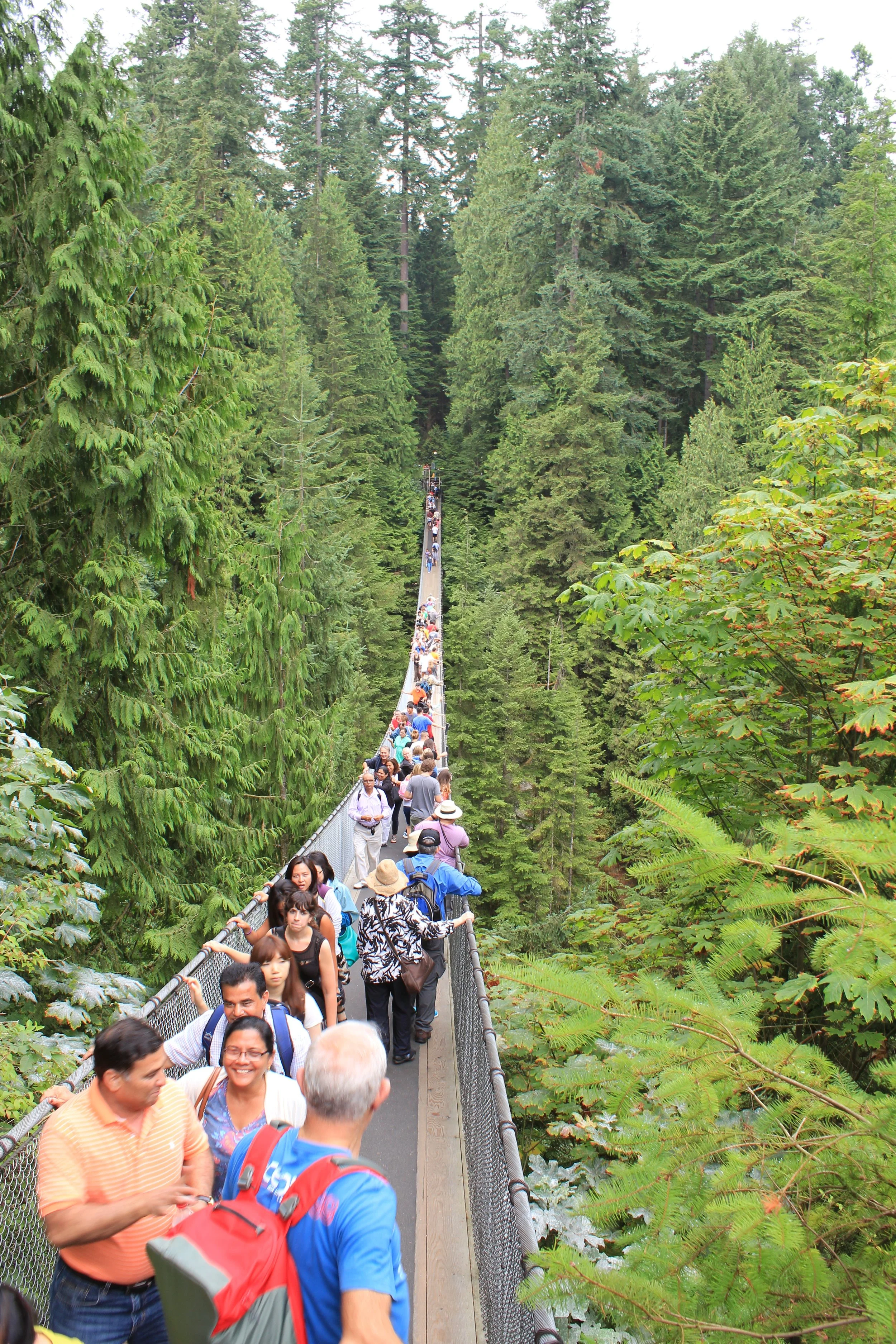 The big fun suspension bridge where that guy got mad at me