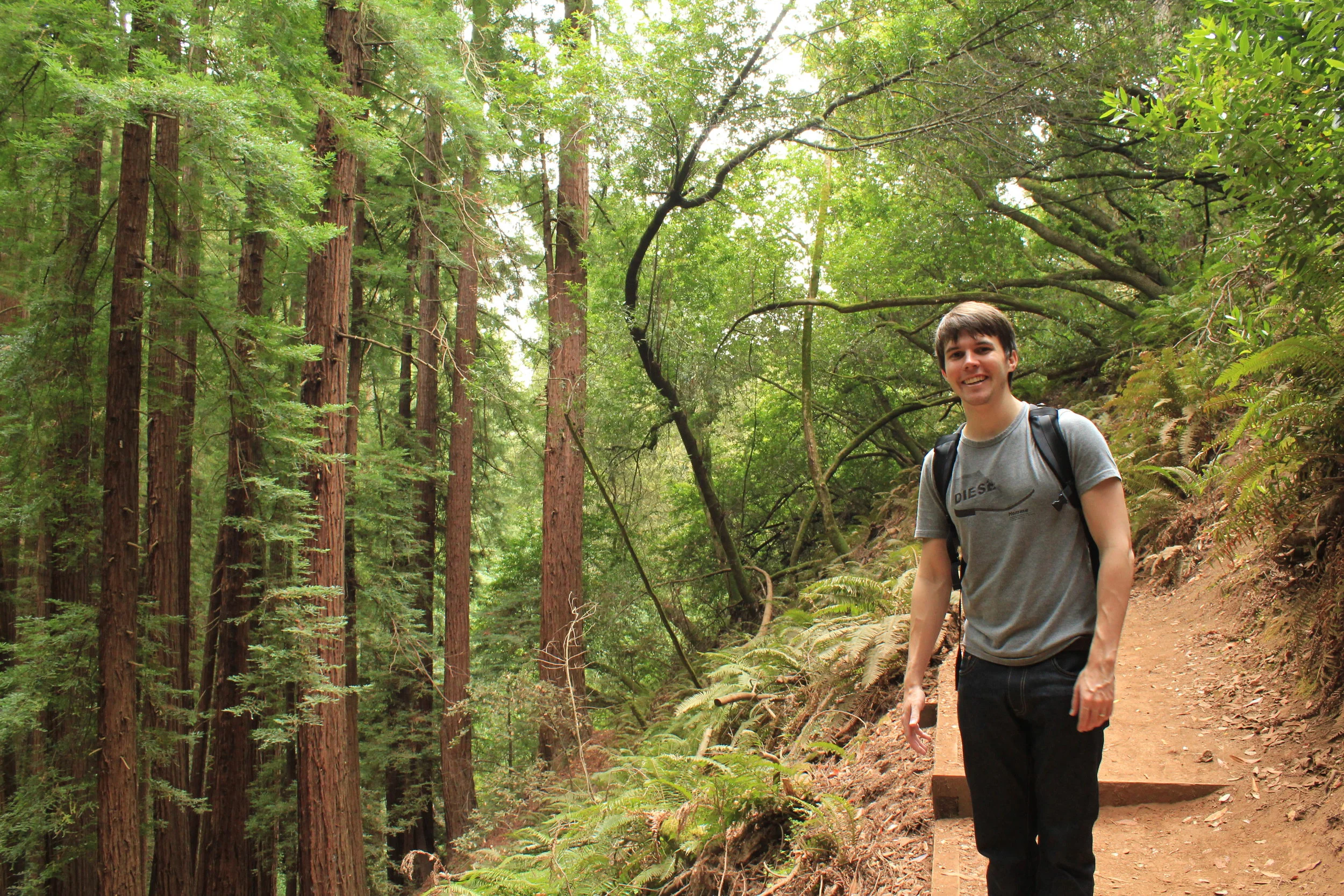 The Beautiful Muir Woods