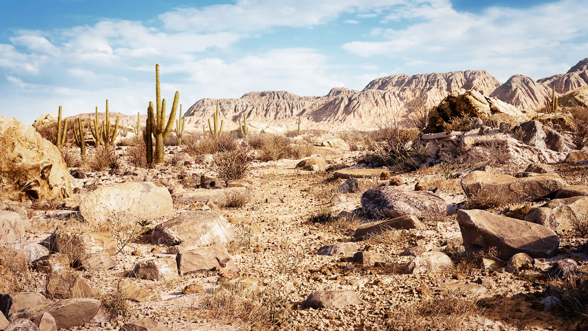 Desert-Mateusz.jpg