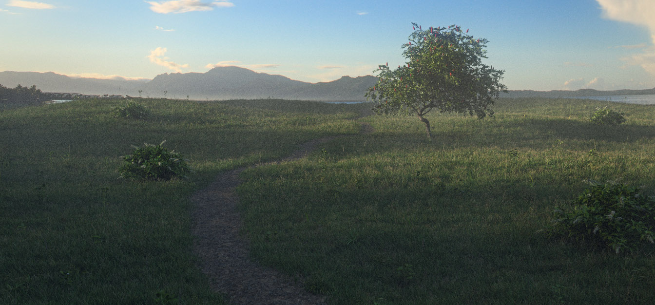 Grassy Area Background Pack