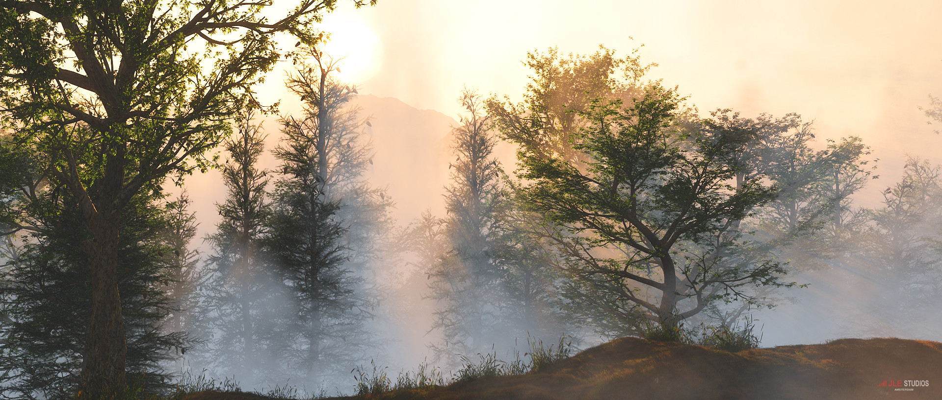 mountain_view.jpg