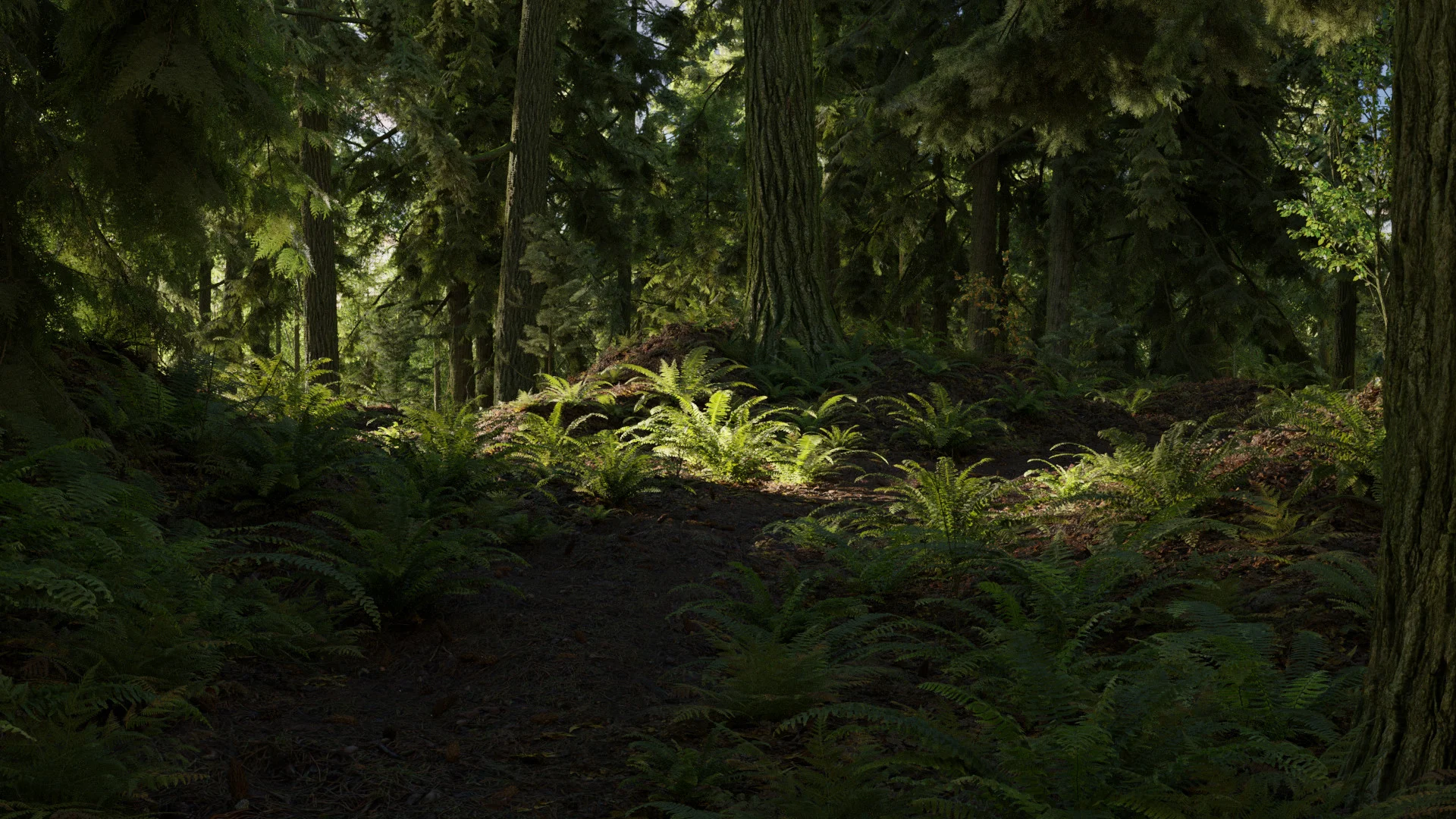 forest_path.jpg