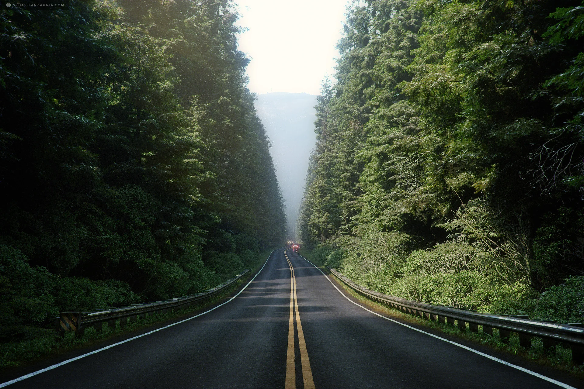through_the_woods.jpg
