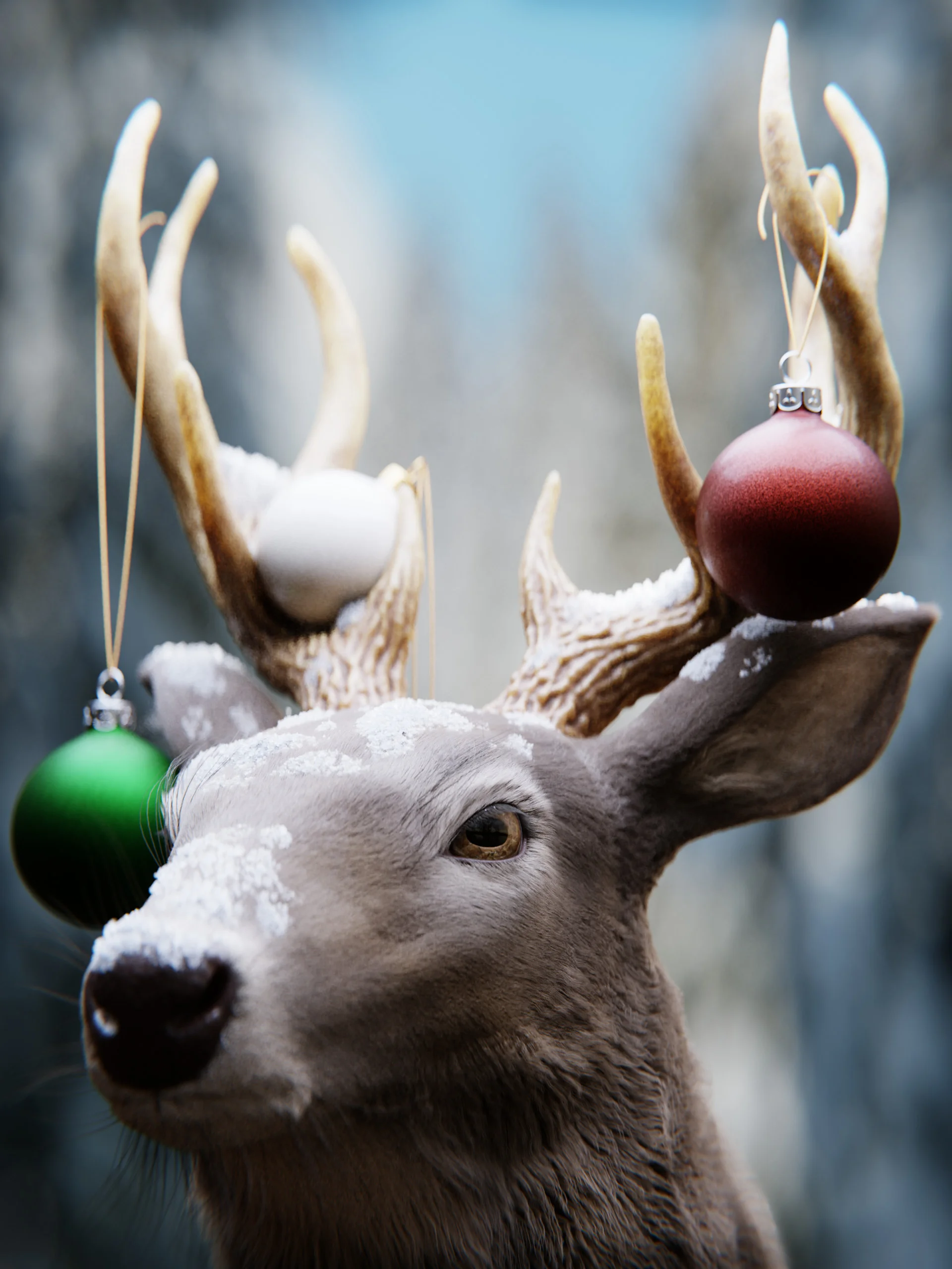 Christmas 2017 Results