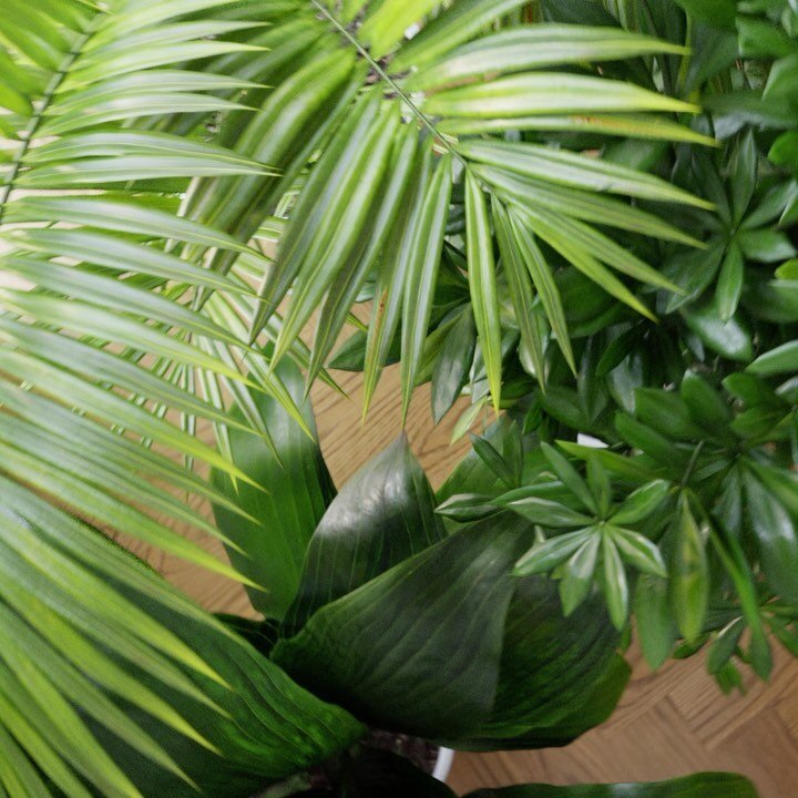 New Tutorial!
When I began learning archviz always wished there was a &ldquo;Beginners Guide&rdquo; that broke it all down for new users... so I made one. I included a few snippets, but you can the full tutorial on my YouTube channel (Blender Guru)