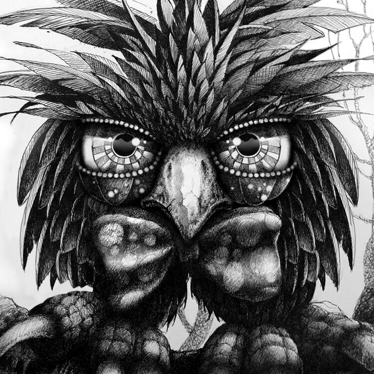 'Harley' - a well dressed Bird!