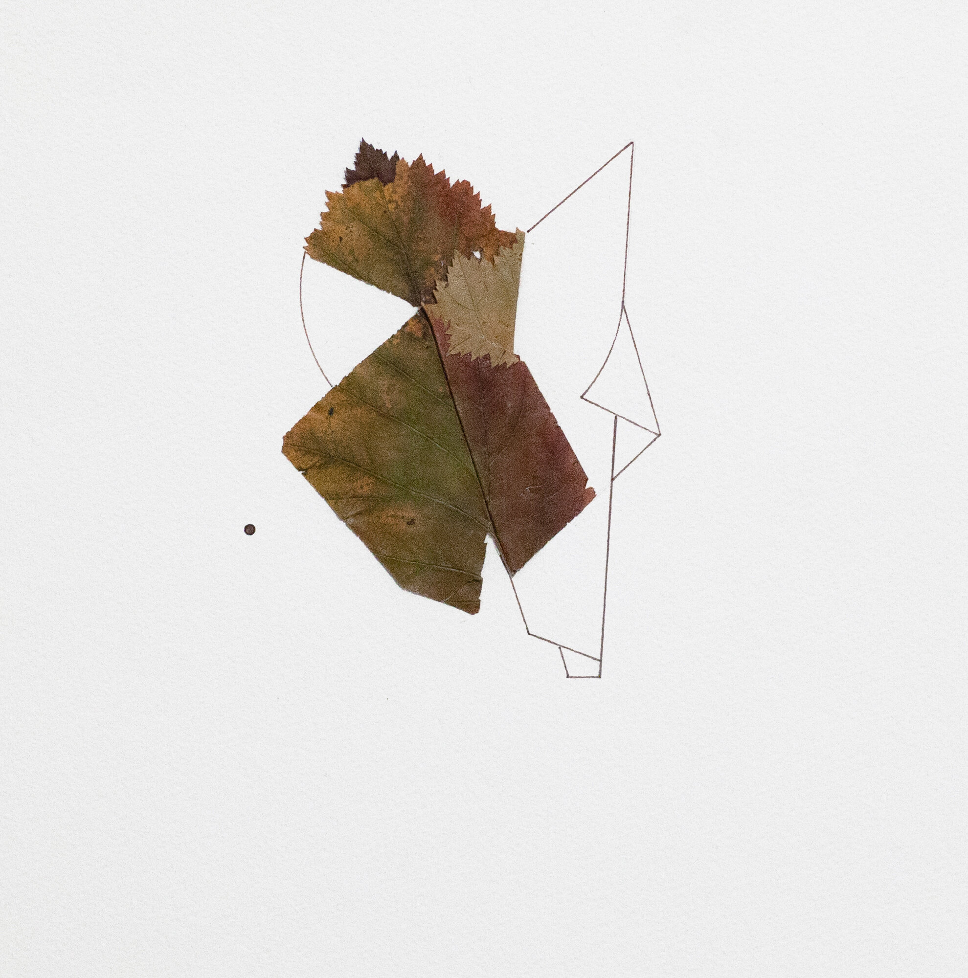   UNTITLED   48x36cm | collage, dried leaves and marker on paper    2015 
